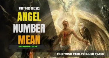 Uncovering the Meaning Behind the 222 Angel Number