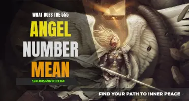Uncovering the Meaning of the 555 Angel Number