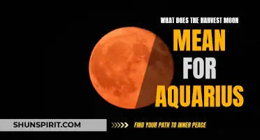 The Meaning of the Harvest Moon for Aquarius: A Celestial Awakening