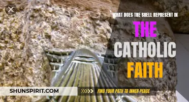 Understanding the Significance of the Shell in the Catholic Faith
