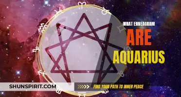 The Aquarius Personality: Discovering Their Enneagram Type