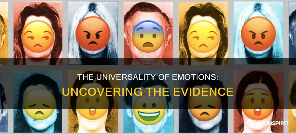 what evidence exists that shows that emotions are universal