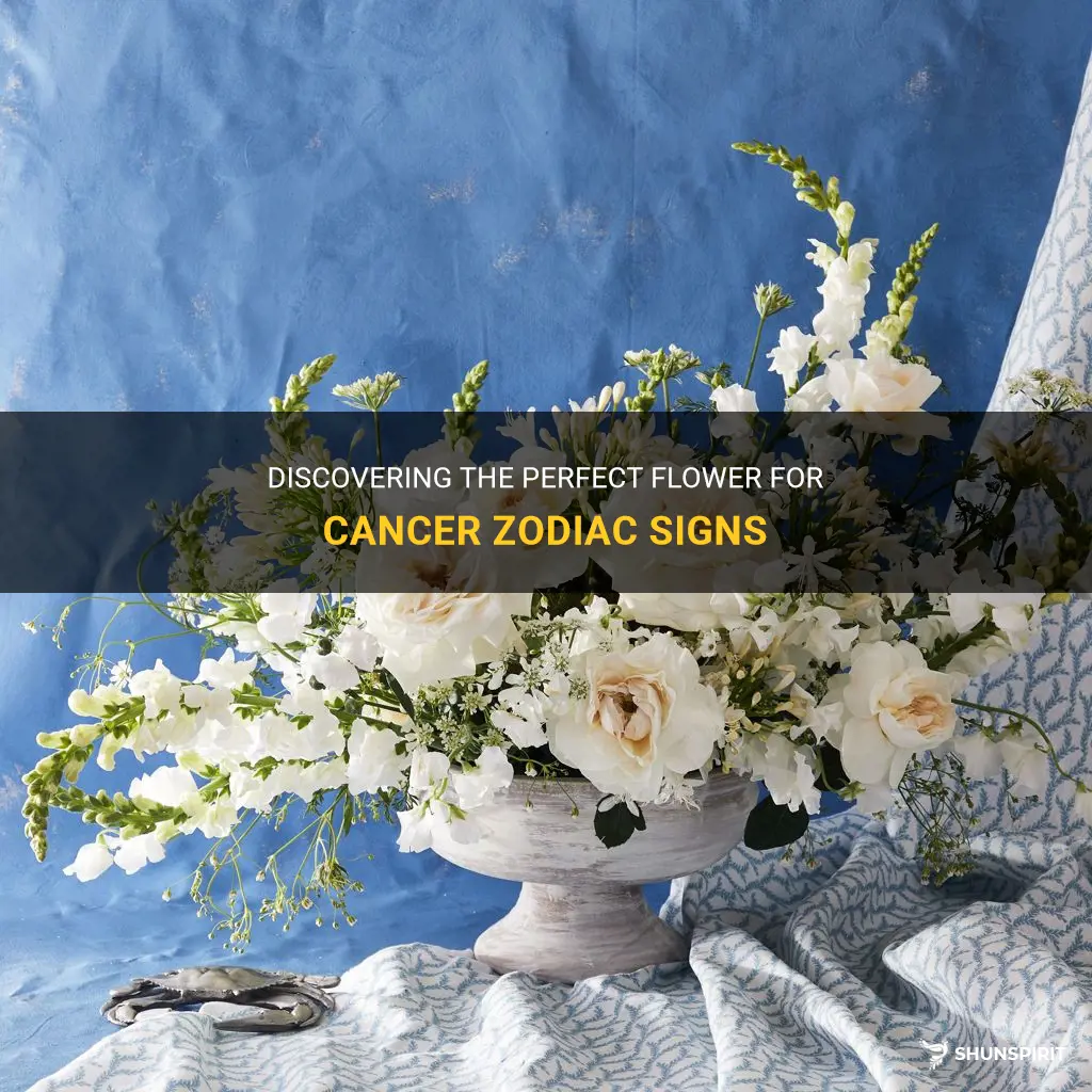 what flower is cancer zodiac