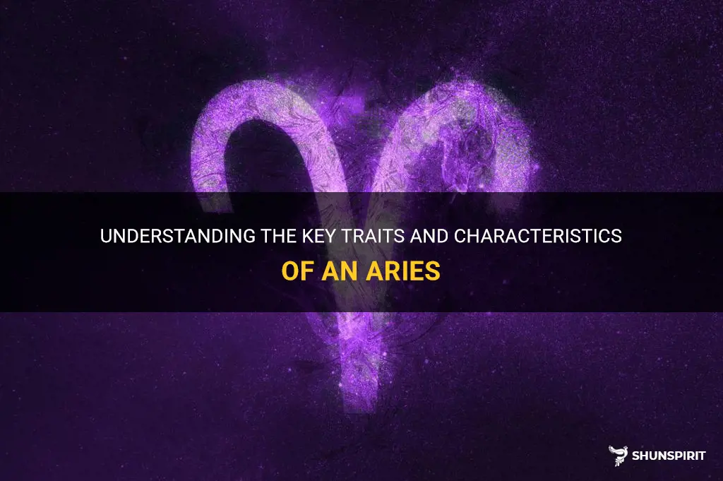 what I need to know about an aries