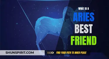 Discover the Ideal Best Friend for an Aries Zodiac Sign