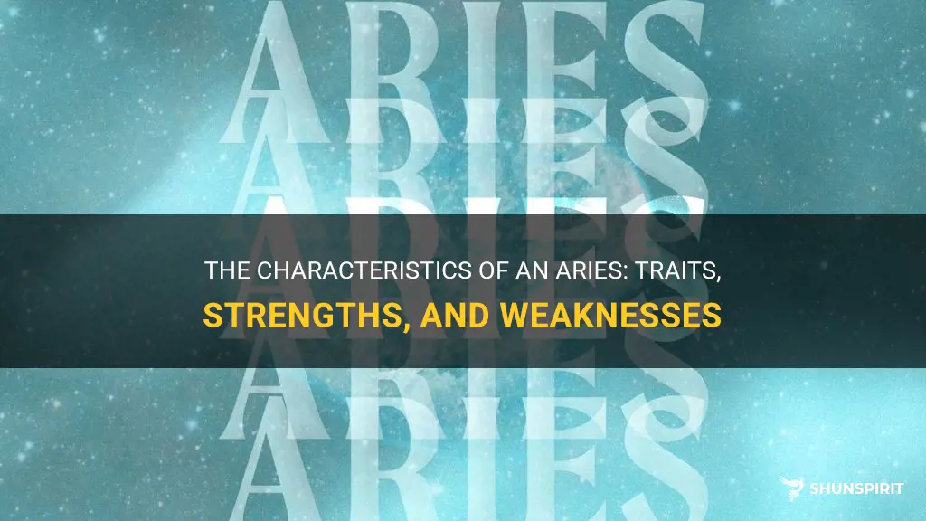 what is a aries characteristics