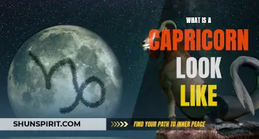 Unveiling the Appearance of a Capricorn: What Does a Capricorn Look Like?