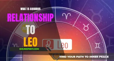 The Dynamic Relationship Between Aquarius and Leo: A Cosmic Connection