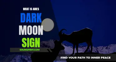Exploring the Mysterious Depths of Aries Dark Moon Sign