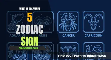 Sagittarius or Ophiuchus? Decoding the Mysteries of December 5 Zodiac Sign