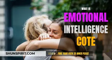 Understanding the Core of Emotional Intelligence and Its Importance