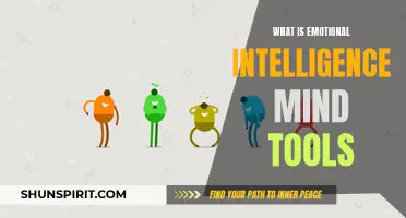 Understanding Emotional Intelligence and Its Importance: Mind Tools for Personal Growth