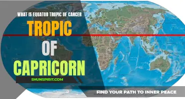 Understanding the Significance of the Equator, Tropic of Cancer, and Tropic of Capricorn