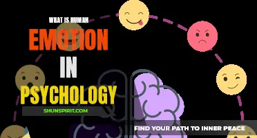 Understanding Human Emotion in Psychology: A Comprehensive Guide