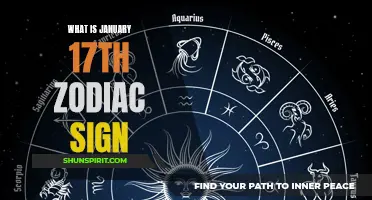 The Dynamic and Driven Personality of Those Born on January 17th: Exploring the Capricorn Aquarius Cusp