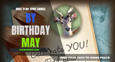 Discover Your Spirit Animal Based on Your Birthday in May