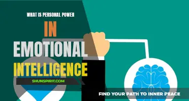 Exploring the Concept of Personal Power in Emotional Intelligence