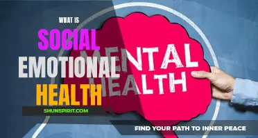 Understanding the Importance of Social-Emotional Health