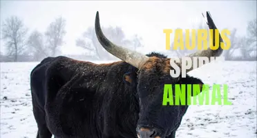 The Taurus Spirit Animal: The Strong and Steadfast Bull