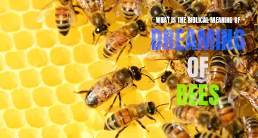 The biblical meaning of dreaming of bees: divine communication and abundance