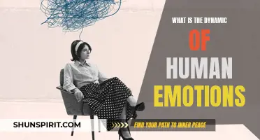 Understanding the Complex Dynamics of Human Emotions