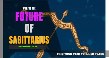 The Shifting Landscape: Exploring the Future of Sagittarius