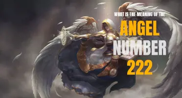 Uncovering the Hidden Significance of the Angel Number 222