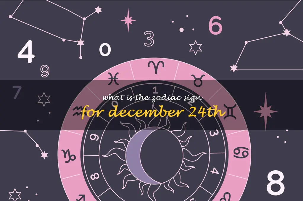 Unearthing The Zodiac Sign Of December 24Th: All You Need To Know ...