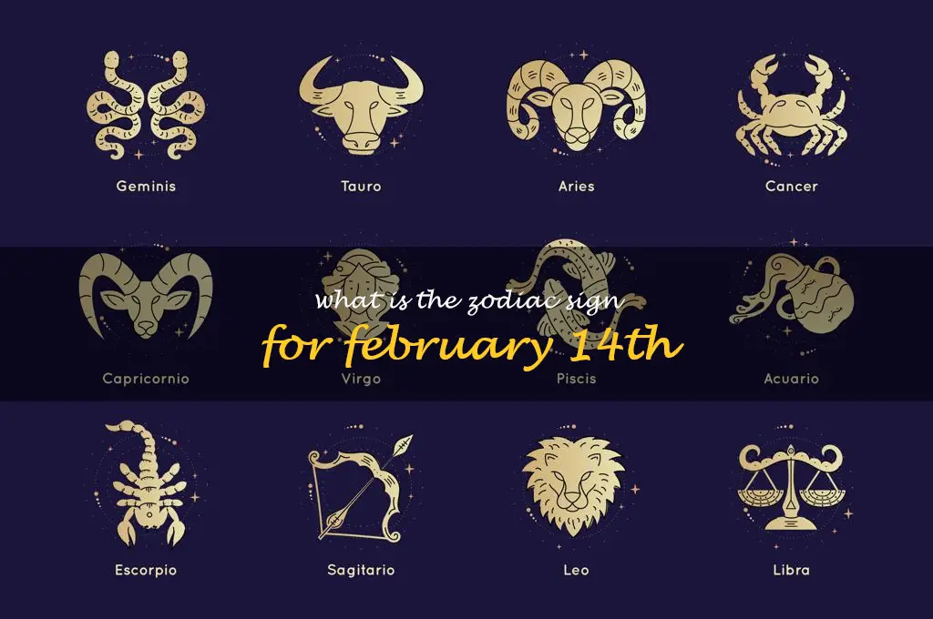 Unlocking The Mystery: Discovering The Zodiac Sign For February 14Th ...