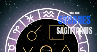 The Astrological Sign that Squares Sagittarius