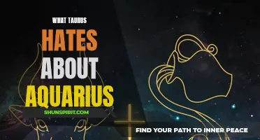 The Top Annoyances Taurus Encounters with Aquarius