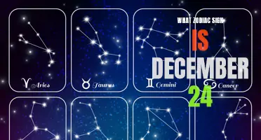 Discover Your Zodiac Sign If You Were Born on December 24