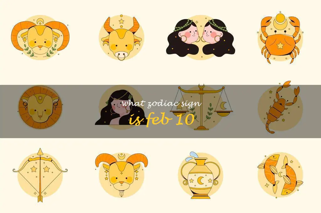 what zodiac sign is feb 10