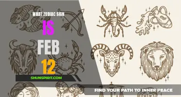 Unveiling the Zodiac Sign for February 12: Traits and Characteristics Explained