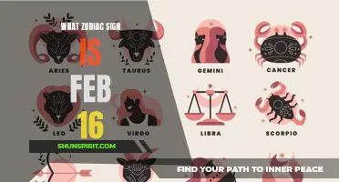 Unveiling the Zodiac Sign for February 16: What Does it Say About You?