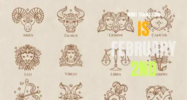 Discovering the Zodiac Sign of Individuals Born on February 2nd - What Does It Say About Them?