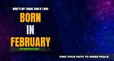Discover Your Zodiac Sign Based on Your February Birthday
