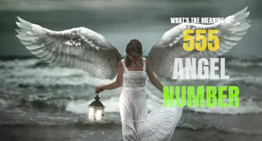 Uncovering the Hidden Meaning Behind the 555 Angel Number