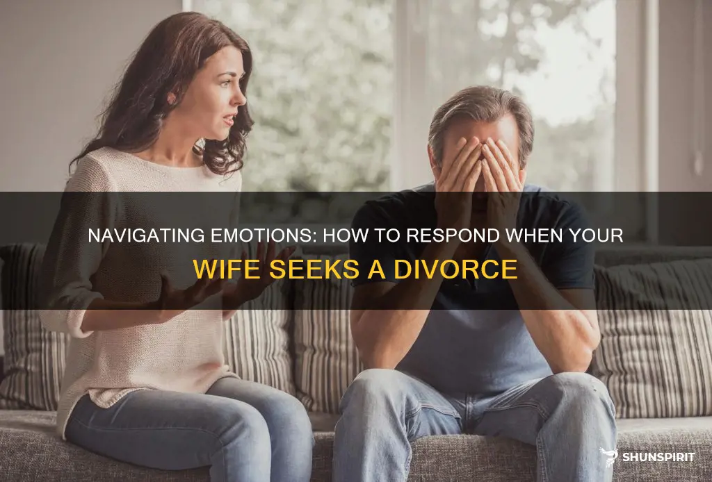 when a wife wants a divorce do not show emotion