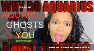 When an Aquarius Suddenly Disappears: Understanding Why They Ghost You