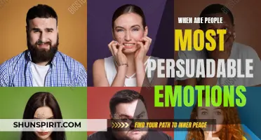 Understanding the Emotional Factors that Influence Persuasion