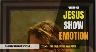 Understanding Jesus: Moments of Emotion Revealed