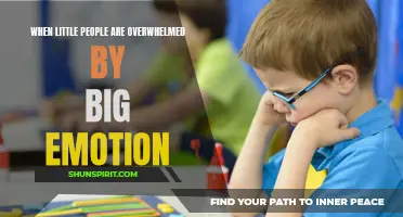 Overcoming Big Emotions: Empowering Little People to Navigate Overwhelming Feelings
