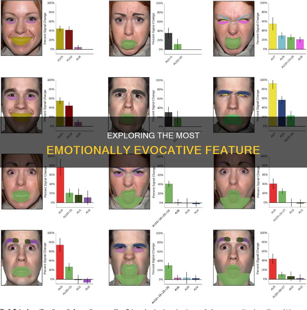 which feature shows most emotion