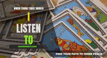 Which Zodiac Tarot Deck Should I Listen to?
