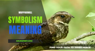 Understanding the Symbolism and Meaning of the Whippoorwill