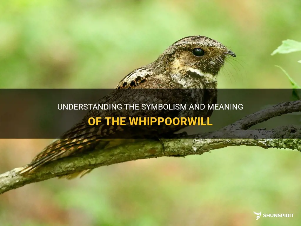 whippoorwill symbolism meaning