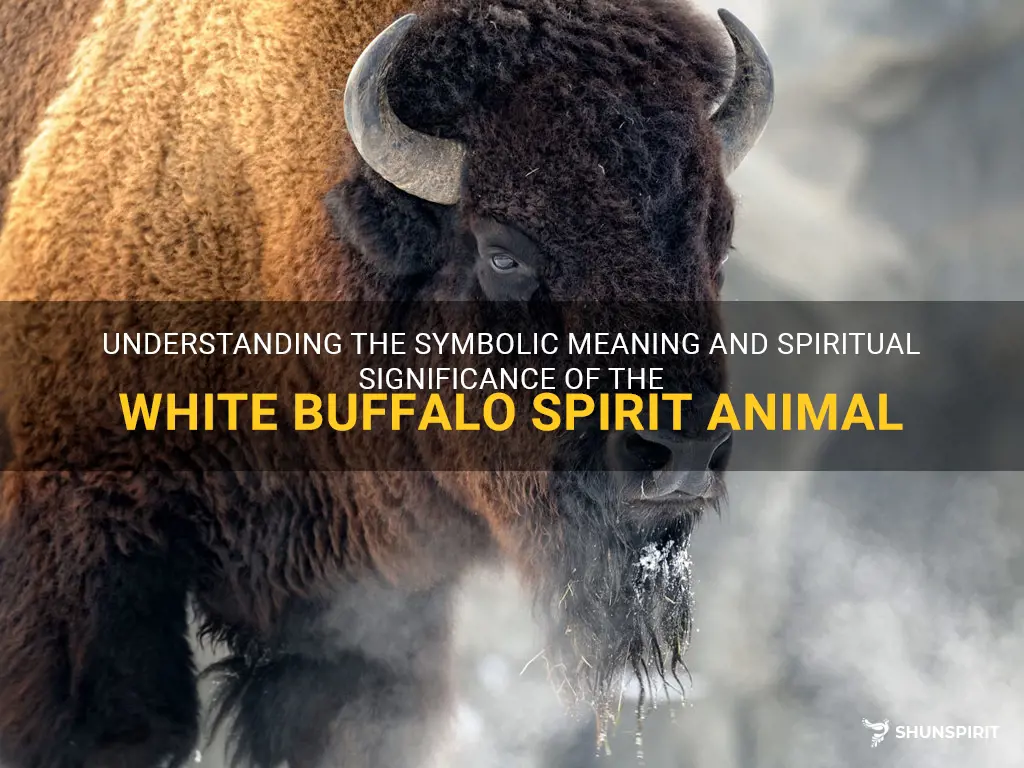 white buffalo spirit animal meaning