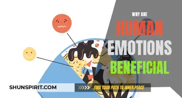 The Importance of Human Emotions: How They Benefit Our Lives