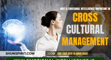 The Significance of Emotional Intelligence in Cross Cultural Management